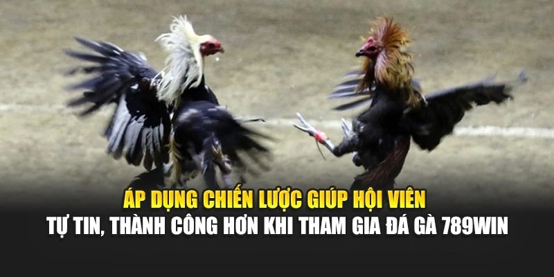 ap-dung-chien-luoc-giup-hoi-vien-tu-tin-thanh-cong-hon-khi-tham-gia-da-ga-789win