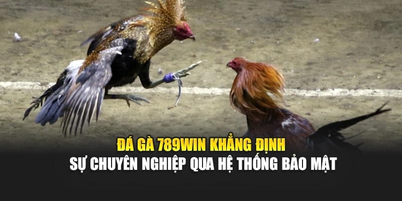 da-ga-789win-khang-dinh-su-chuyen-nghiep-qua-he-thong-bao-mat