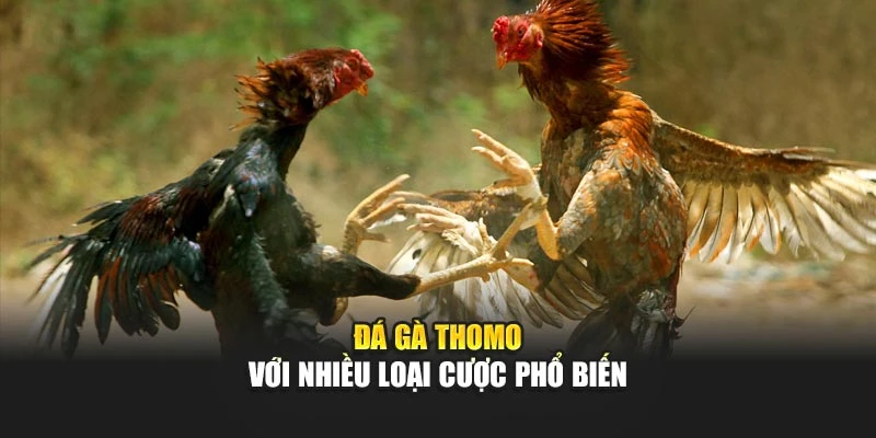 da-ga-thomo-voi-nhieu-loai-cuoc-pho-bien