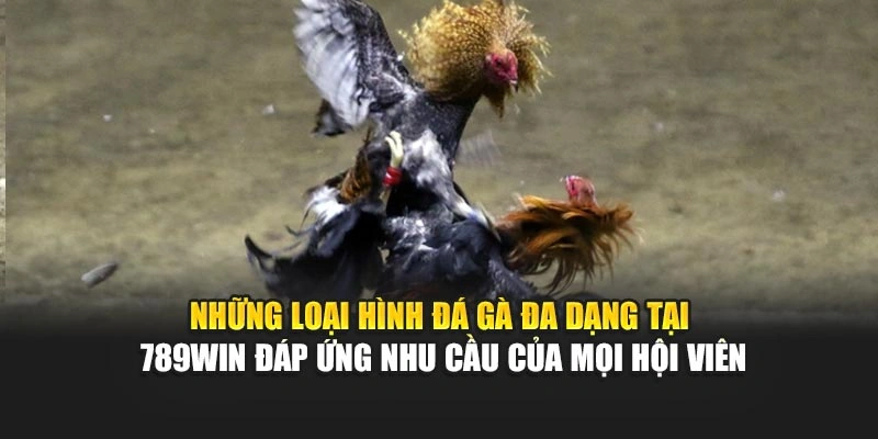nhung-loai-hinh-da-ga-da-dang-tai-789win-dap-ung-nhu-cau-cua-moi-hoi-vien