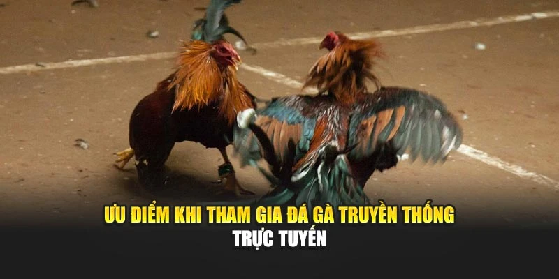 uu-diem-khi-tham-gia-da-ga-truyen-thong-truc-tuyen